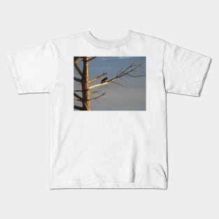 Crow on the dry tree Kids T-Shirt